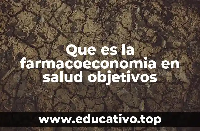Que es la farmacoeconomia en salud objetivos