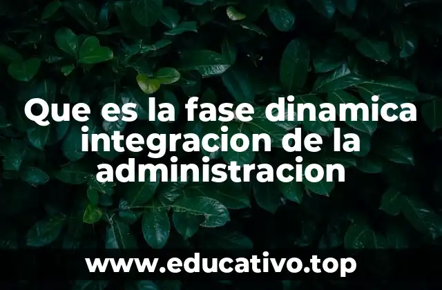 Que es la fase dinamica integracion de la administracion