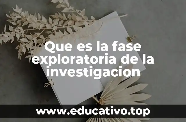 Que es la fase exploratoria de la investigacion
