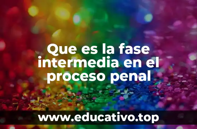 Que es la fase intermedia en el proceso penal