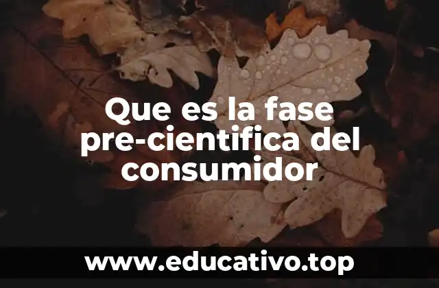 Que es la fase pre-cientifica del consumidor