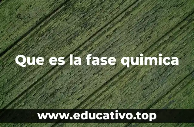 Que es la fase quimica