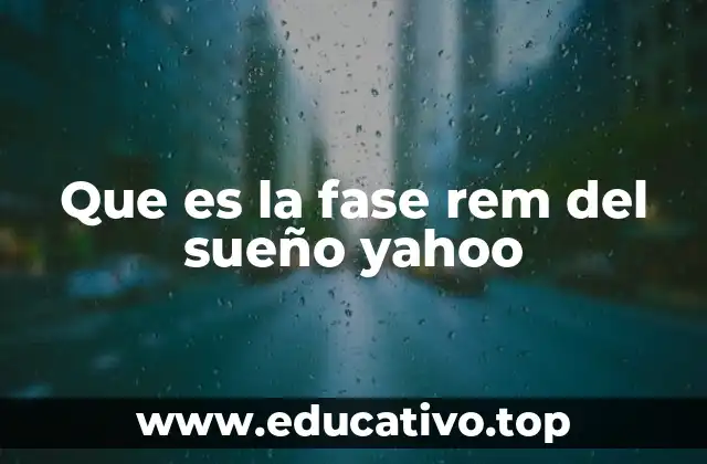Que es la fase rem del sueño yahoo