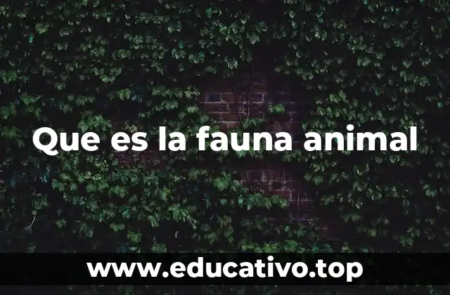 Que es la fauna animal