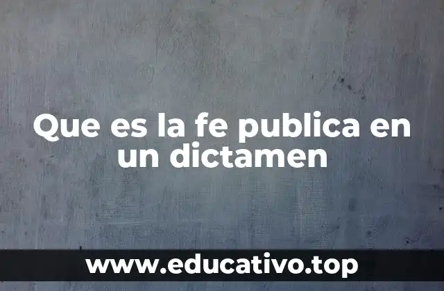 Que es la fe publica en un dictamen