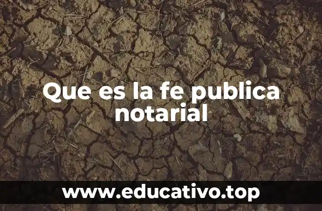 Que es la fe publica notarial