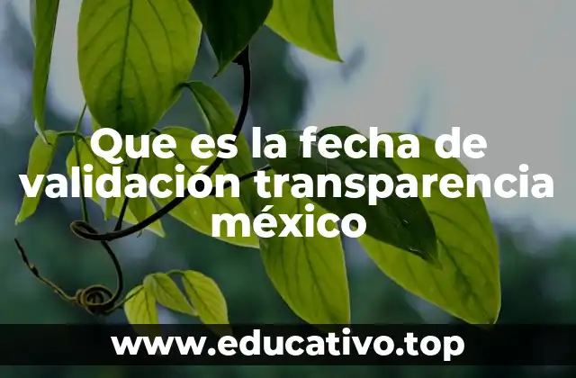 Que es la fecha de validación transparencia méxico