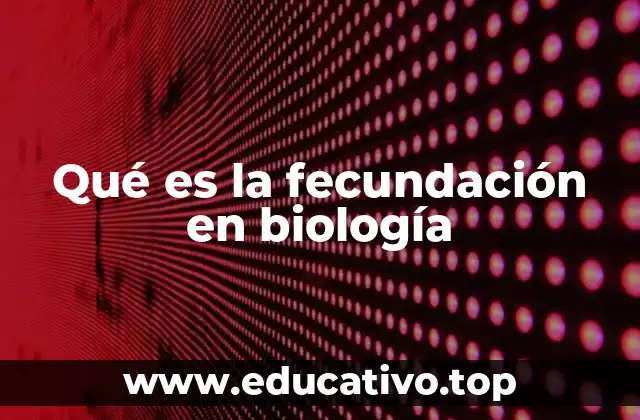 Qué es la fecundación en biología