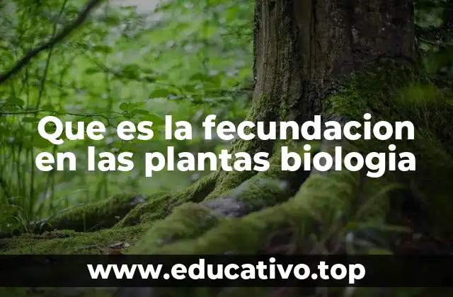 Que es la fecundacion en las plantas biologia