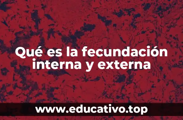 Qué es la fecundación interna y externa