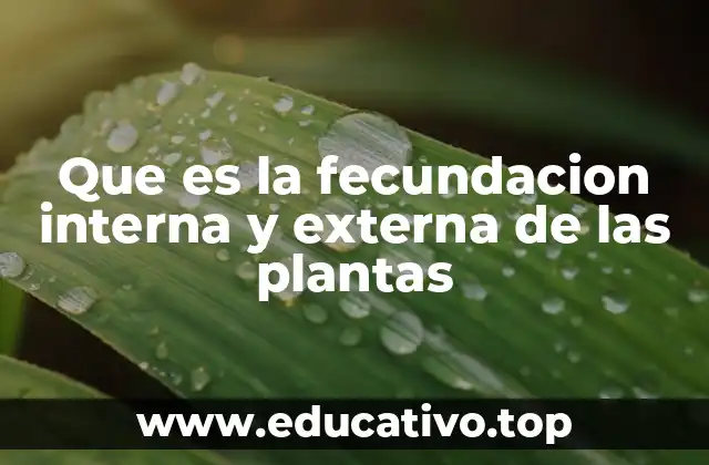 Que es la fecundacion interna y externa de las plantas