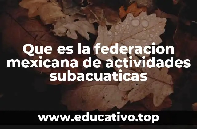 Que es la federacion mexicana de actividades subacuaticas