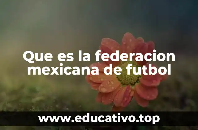 Que es la federacion mexicana de futbol