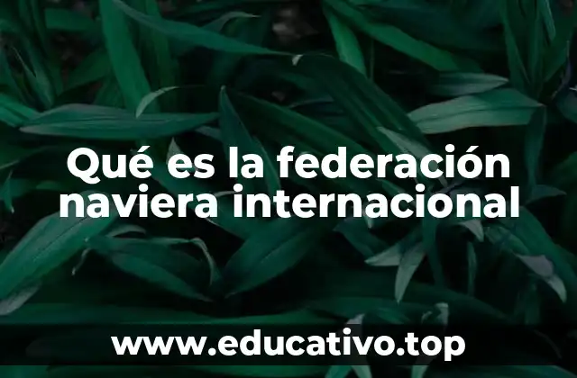 Qué es la federación naviera internacional