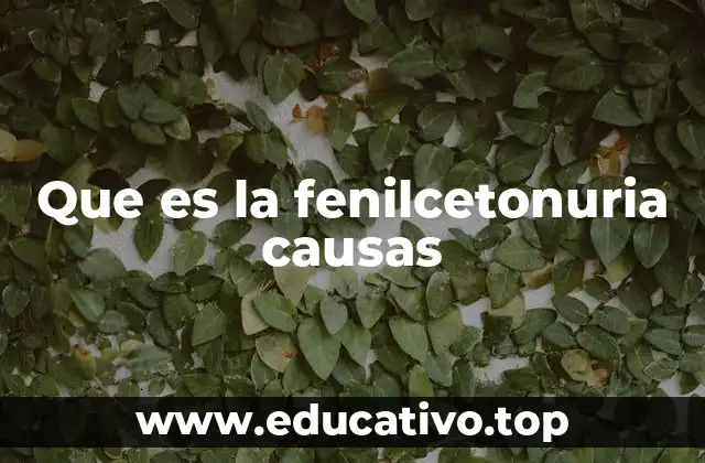 Que es la fenilcetonuria causas