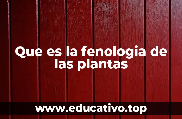 Que es la fenologia de las plantas