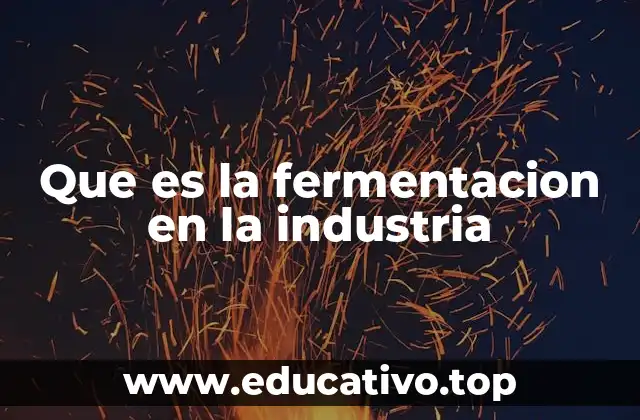 Que es la fermentacion en la industria