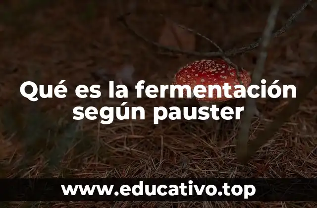 Qué es la fermentación según pauster
