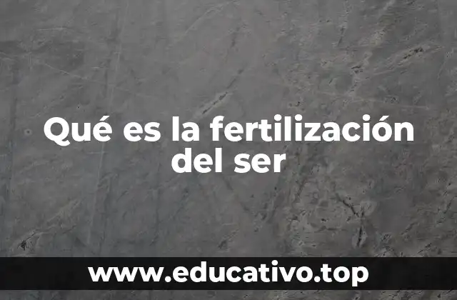 Qué es la fertilización del ser