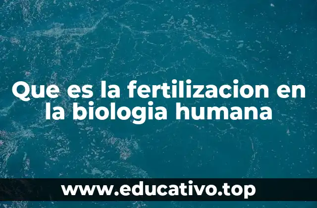 Que es la fertilizacion en la biologia humana