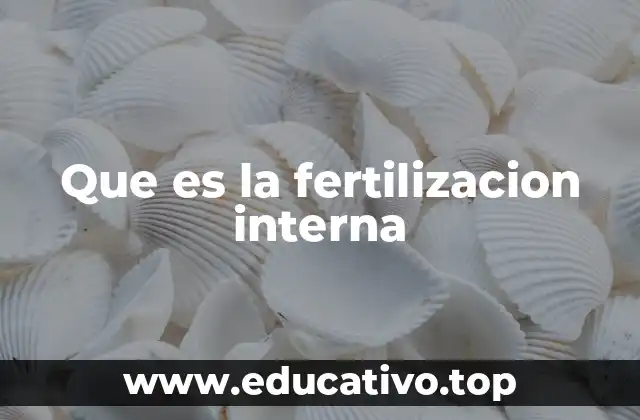 Que es la fertilizacion interna