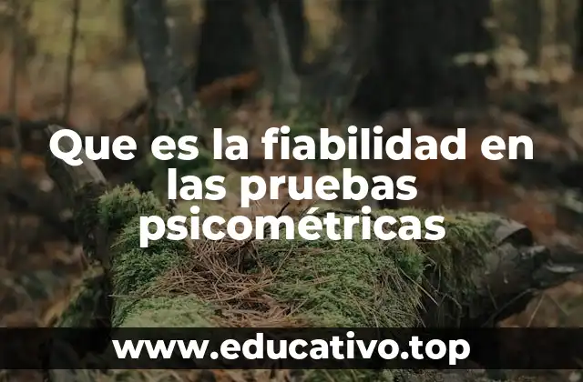 Que es la fiabilidad en las pruebas psicométricas