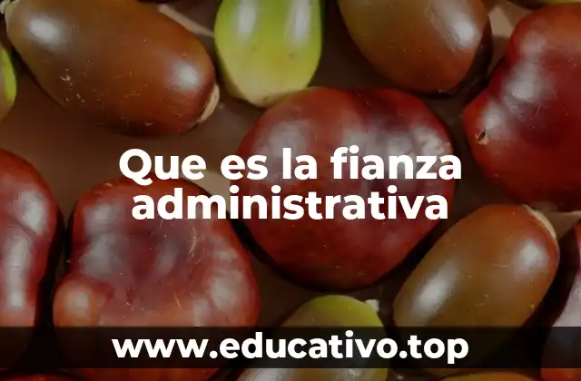 Que es la fianza administrativa