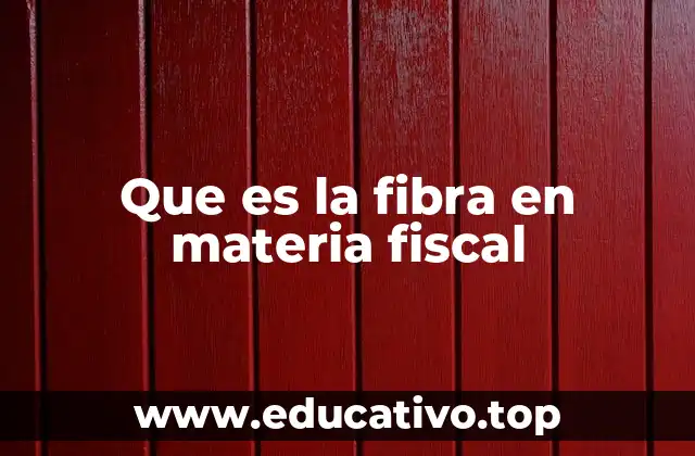 Que es la fibra en materia fiscal