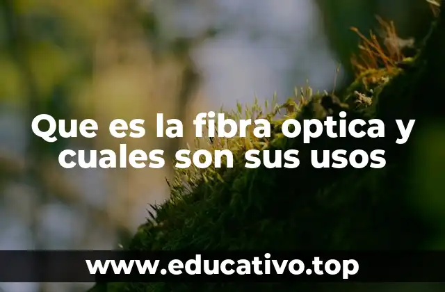 Que es la fibra optica y cuales son sus usos