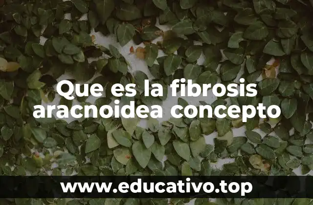 Que es la fibrosis aracnoidea concepto