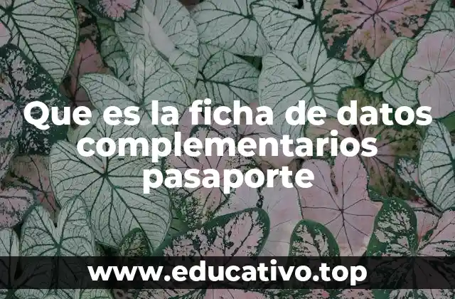 Que es la ficha de datos complementarios pasaporte