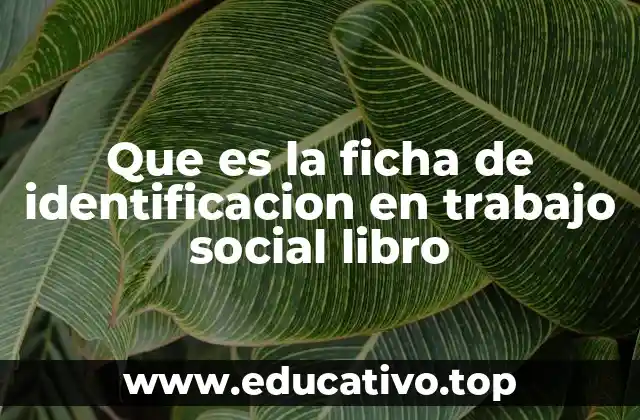 El papel de las fichas en la organización del trabajo social