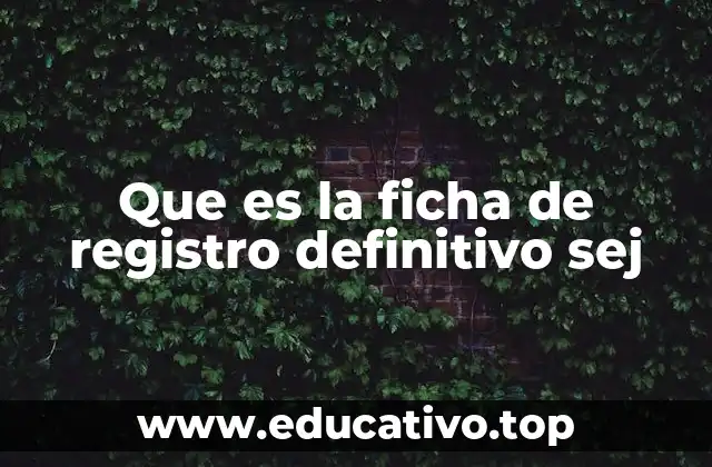 Que es la ficha de registro definitivo sej