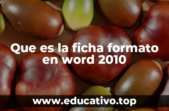 Que es la ficha formato en word 2010