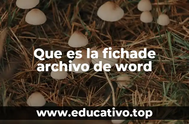 Que es la fichade archivo de word