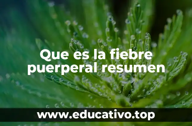 Que es la fiebre puerperal resumen
