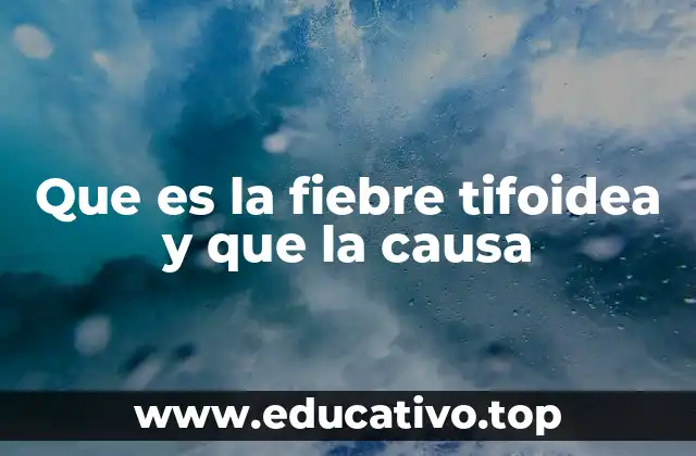 Que es la fiebre tifoidea y que la causa