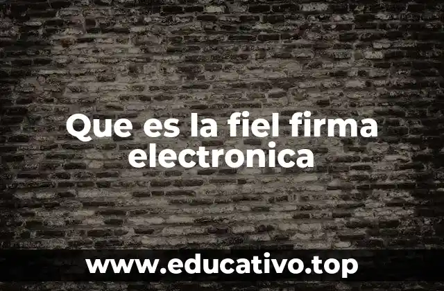 Que es la fiel firma electronica