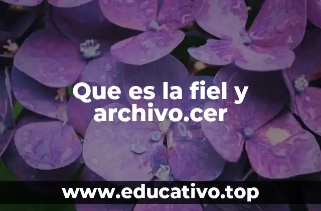 Que es la fiel y archivo.cer