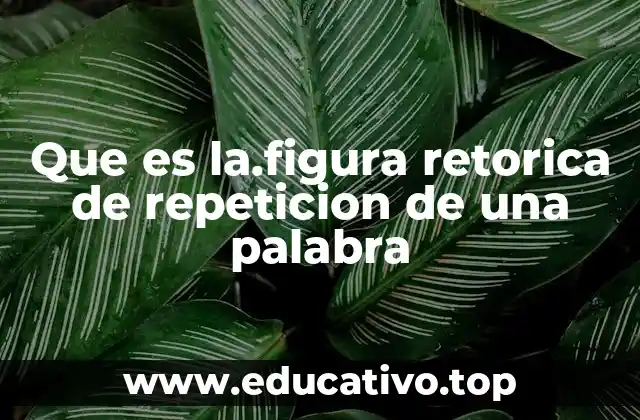 Que es la.figura retorica de repeticion de una palabra