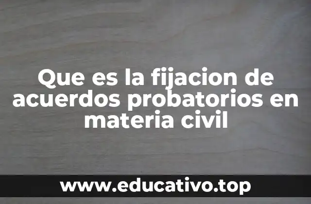 Que es la fijacion de acuerdos probatorios en materia civil