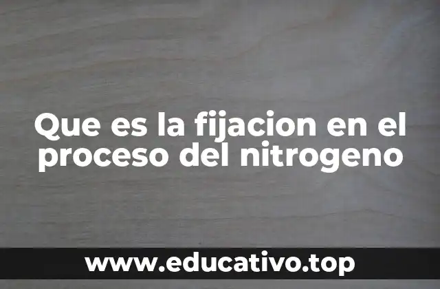 Que es la fijacion en el proceso del nitrogeno