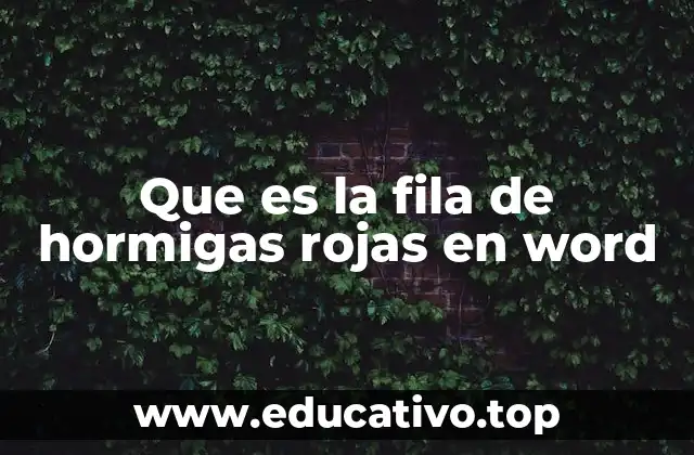 Que es la fila de hormigas rojas en word