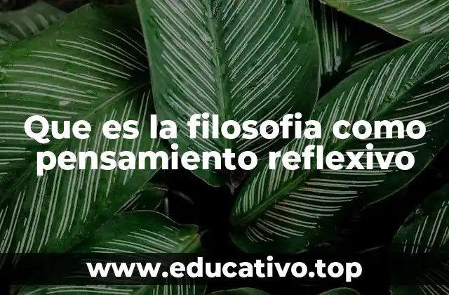 Que es la filosofia como pensamiento reflexivo