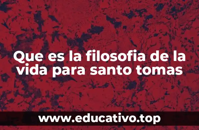 Que es la filosofia de la vida para santo tomas