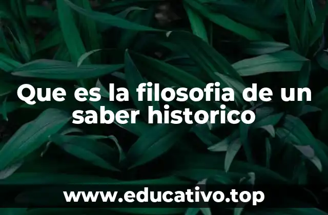 Que es la filosofia de un saber historico