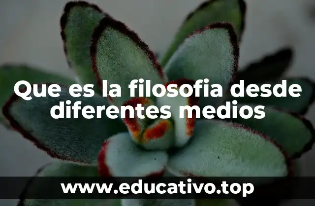 Que es la filosofia desde diferentes medios