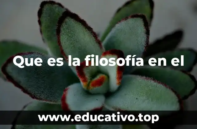 Que es la filosofía en el