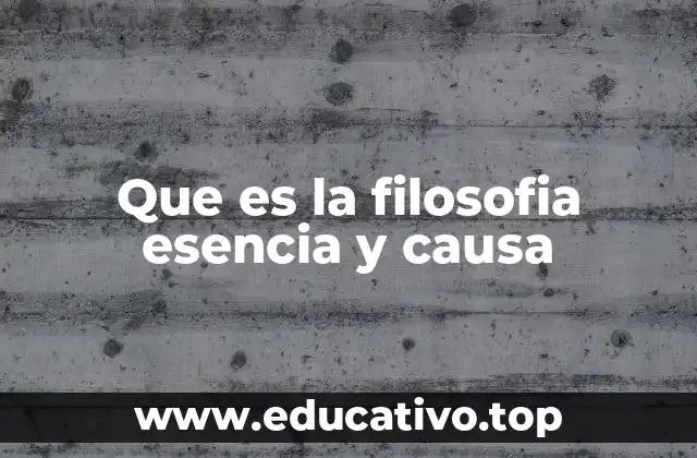 Que es la filosofia esencia y causa