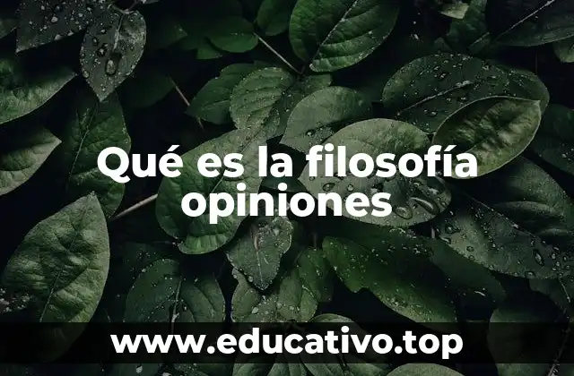 Qué es la filosofía opiniones